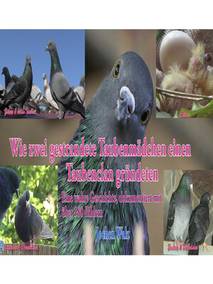 cover image of Wie zwei gestrandete Taubenmädchen einen Taubenclan gründeten